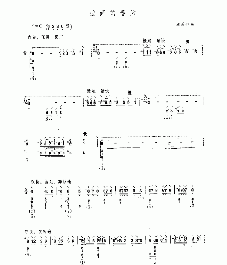 拉萨的春天 民乐类 琵琶