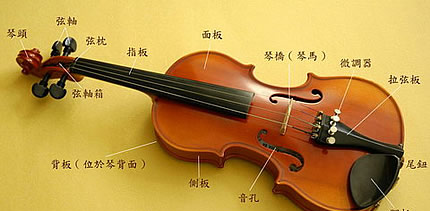 认识小提琴1