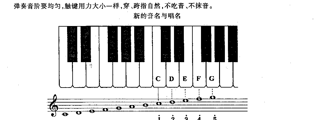 儿童电子琴乐曲《视谱歌》2