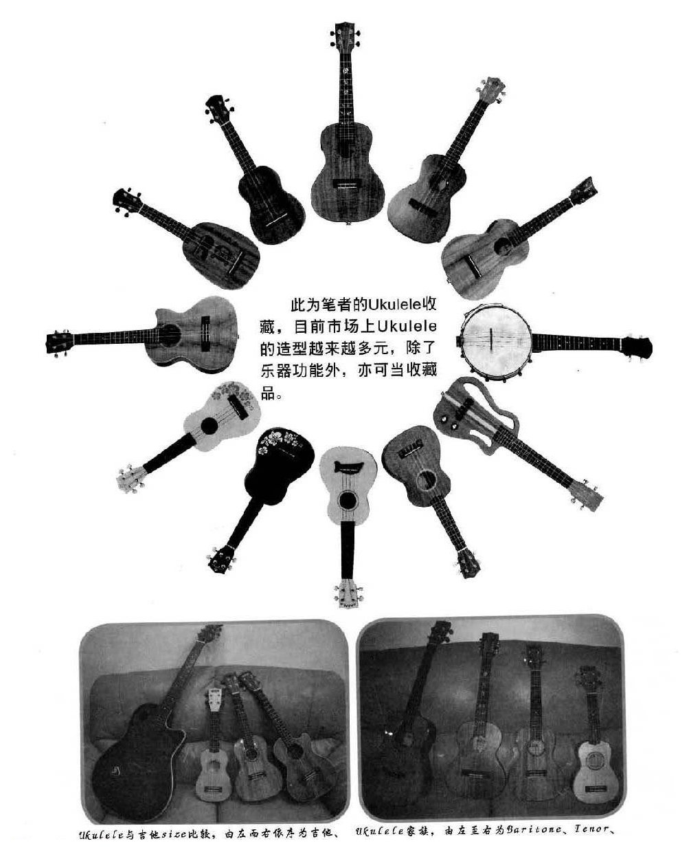 Ukulele家族图解