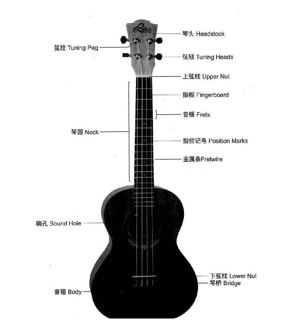 Ukulele有哪些部分构成？Ukulele结构图文详解