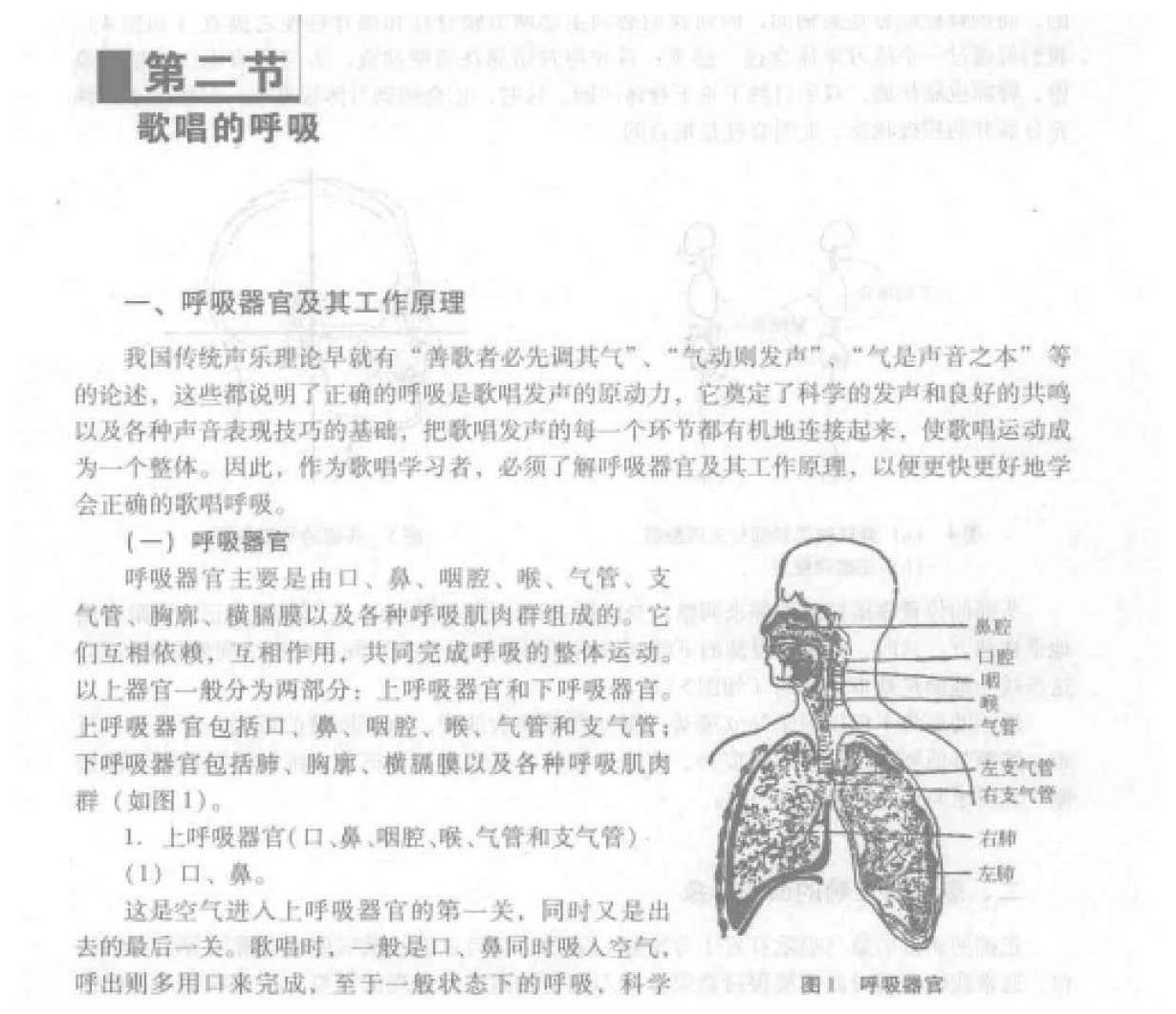 歌唱的呼吸《呼吸器官及其工作原理》