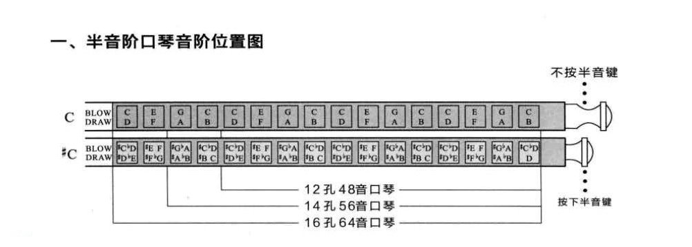 半音阶口琴音阶位置图