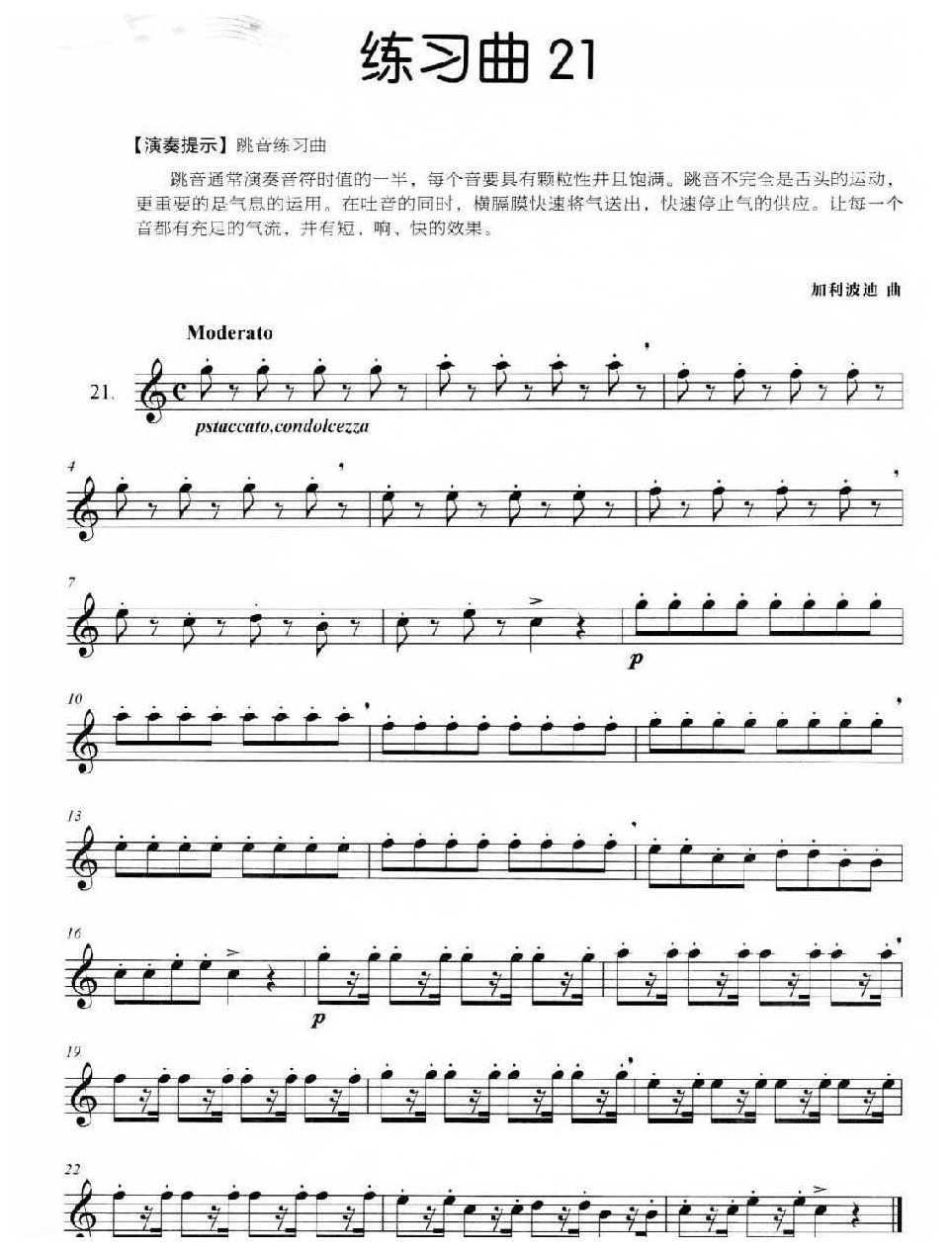 长笛独奏练习曲21《跳音练习曲》附演奏提示