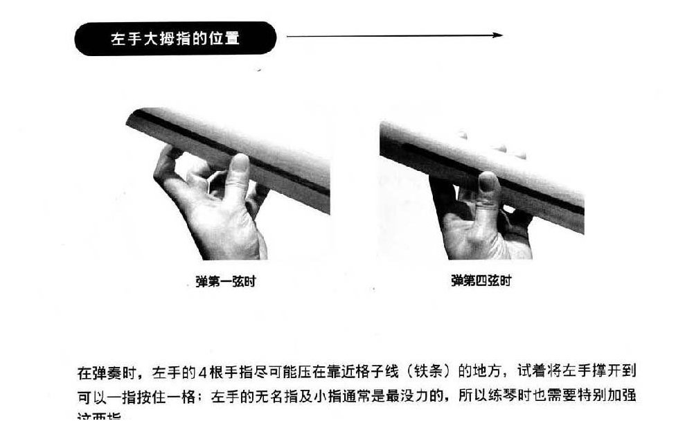 电贝司基础教程《左手大拇指的位置》