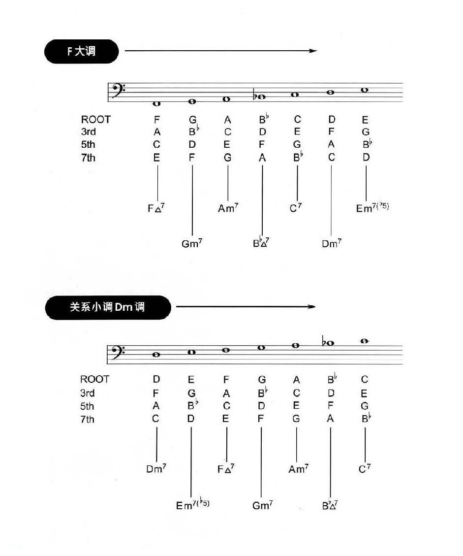 电贝司基础教程《和弦》