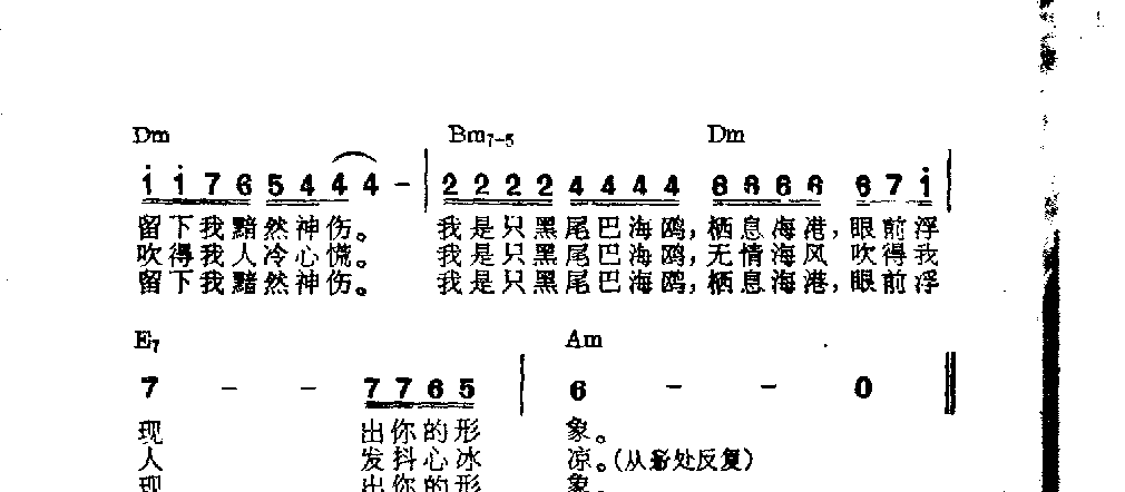 吉他伴奏日本流行歌曲《黑尾巴海鸥》高桥直人词　小林学曲