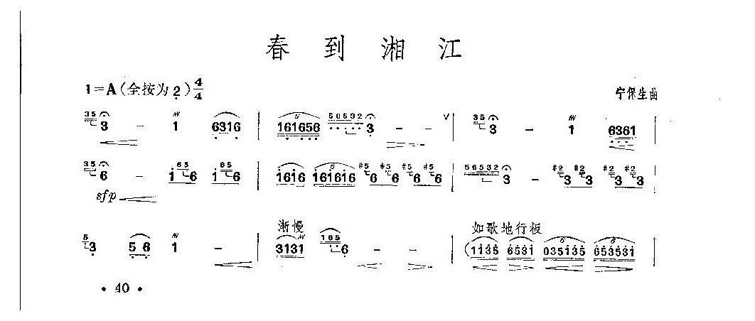 经典竹笛乐曲《春到湘江》宁保生曲