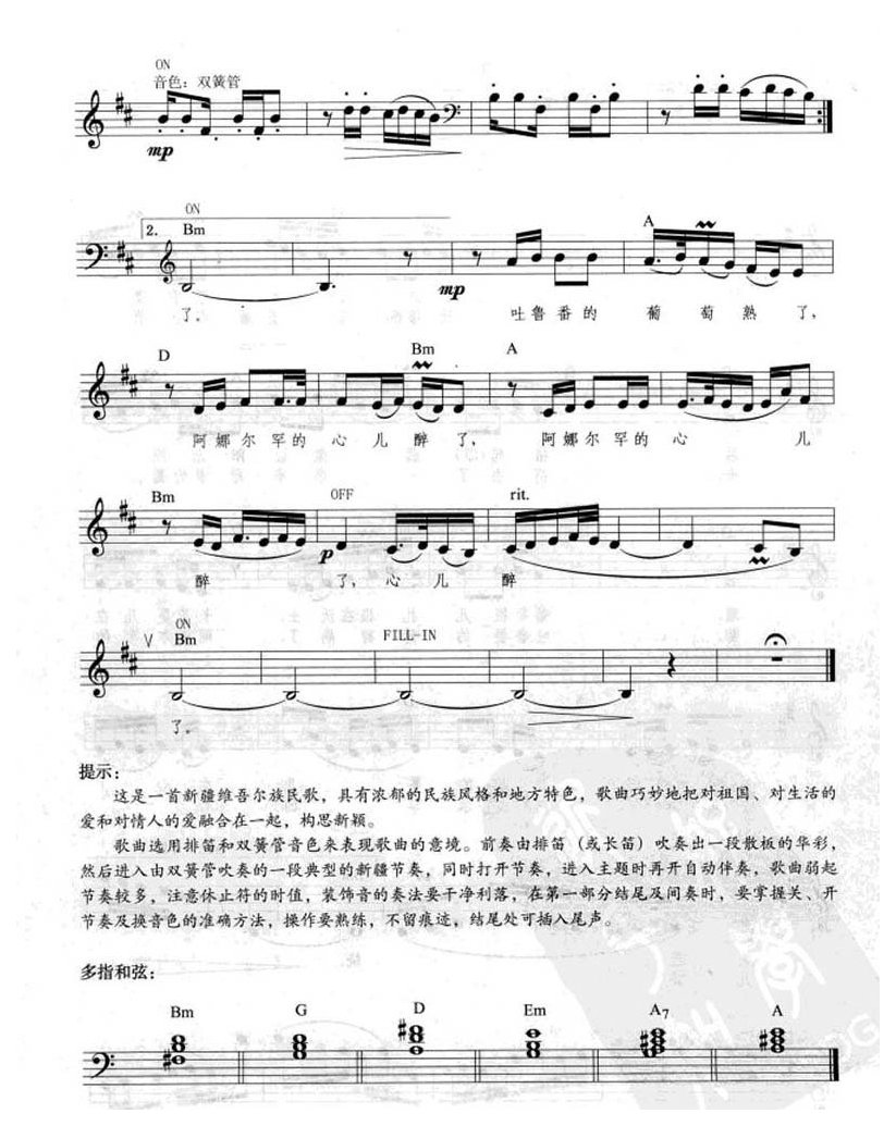 电子琴弹唱乐曲《吐鲁番的葡萄熟了》