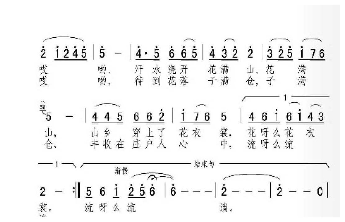 描写宁夏的歌曲《油菜花开一片黄》女声独唱