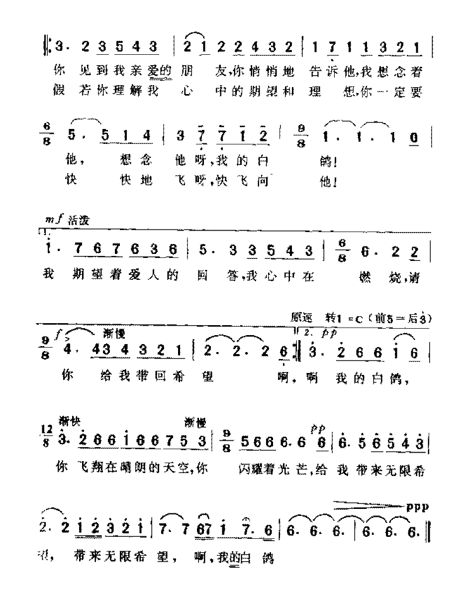 国外名曲《我的白鸽》简谱