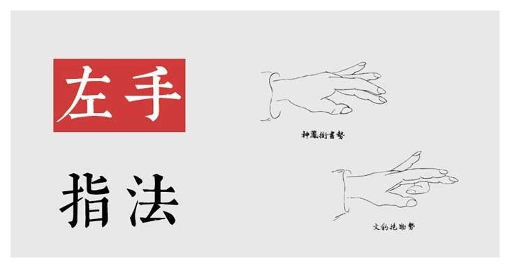 古琴入门基础教程【第29课：左手指法 大、食、中、名、跪指】