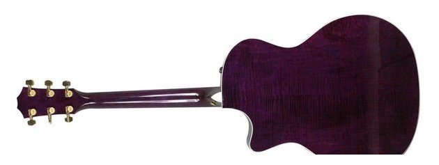 紫色泰勒（Taylor）吉他简介