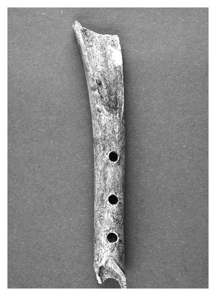 奥地利最古老乐器1.9万年年前的驯鹿骨笛简介