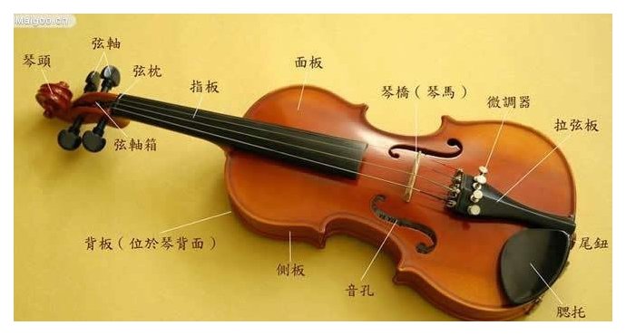 小提琴各个部位的中英文名称及其解释