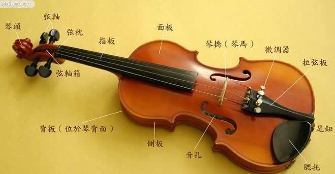 小提琴各个部位的中英文名称及其解释