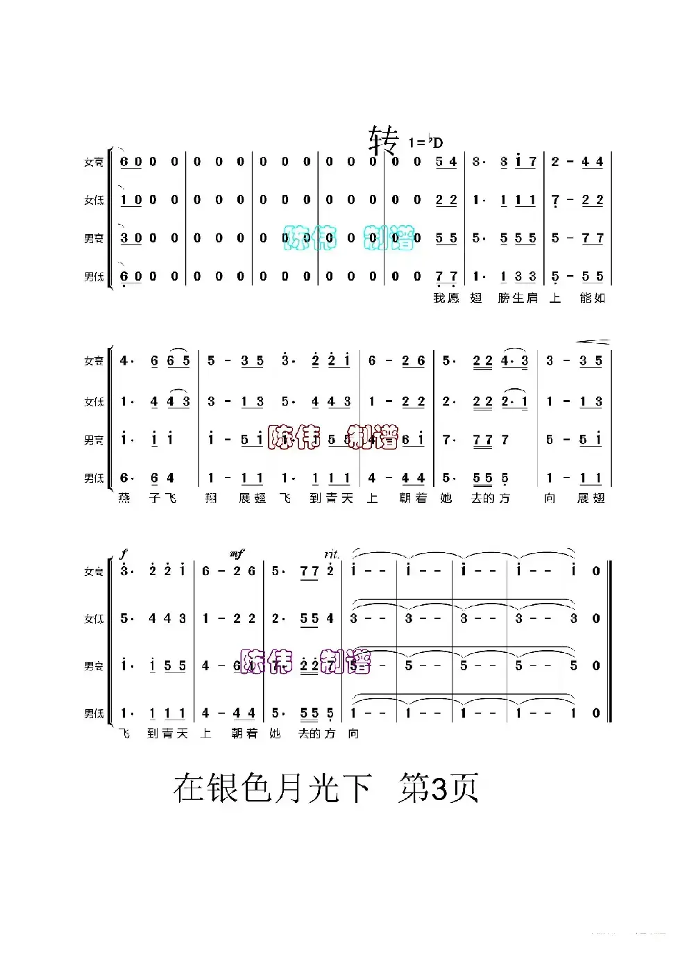 在银色的月光下