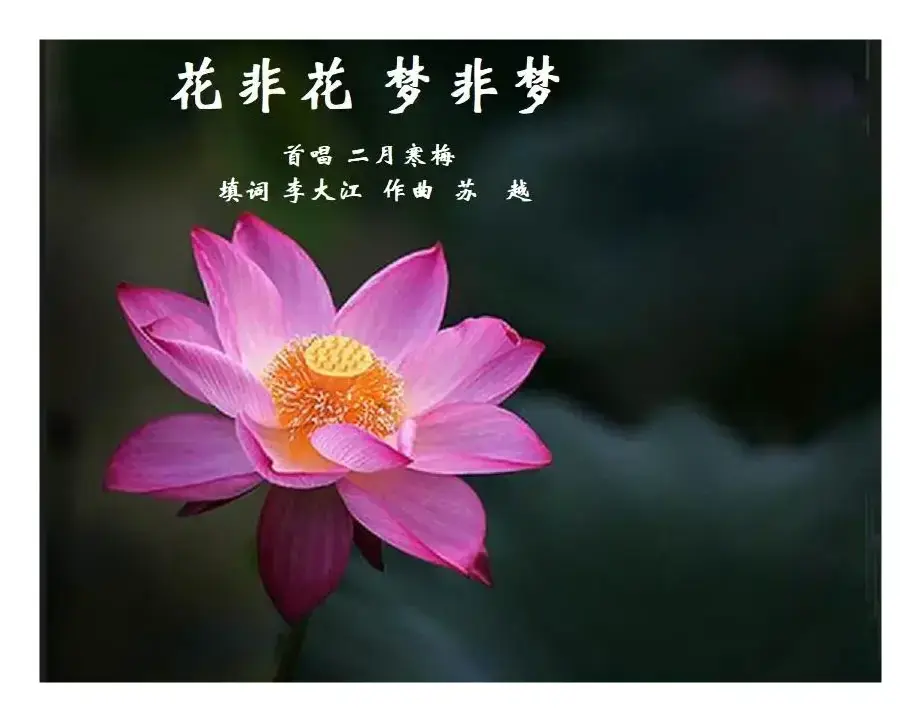 花非花梦非梦（填词）