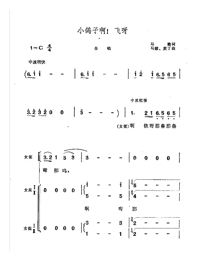 小鸽子啊！飞呀