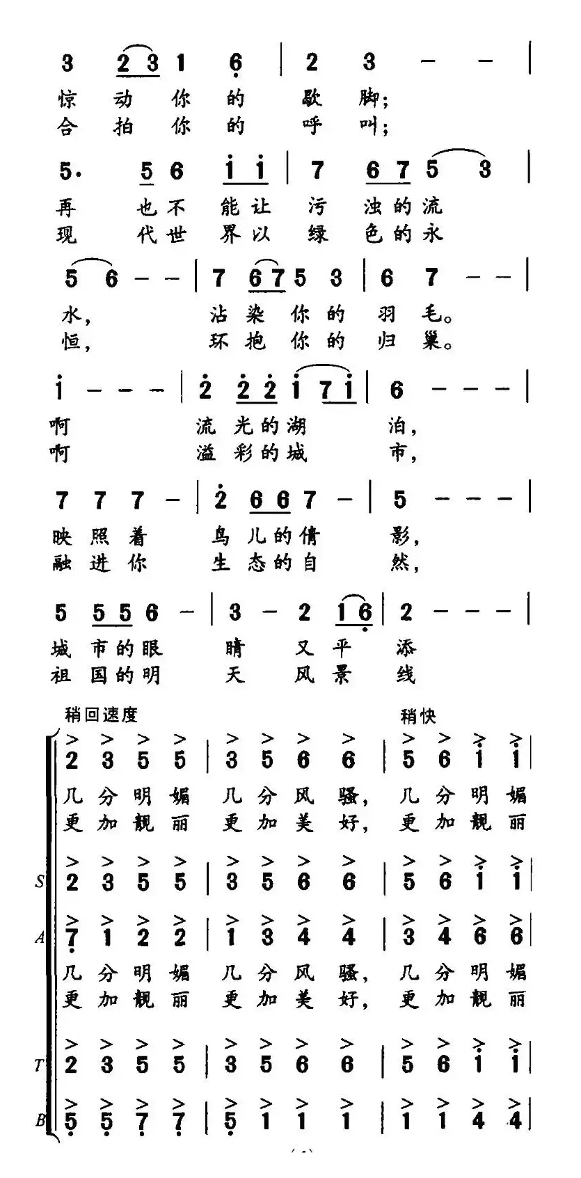 白鹭飞回来了