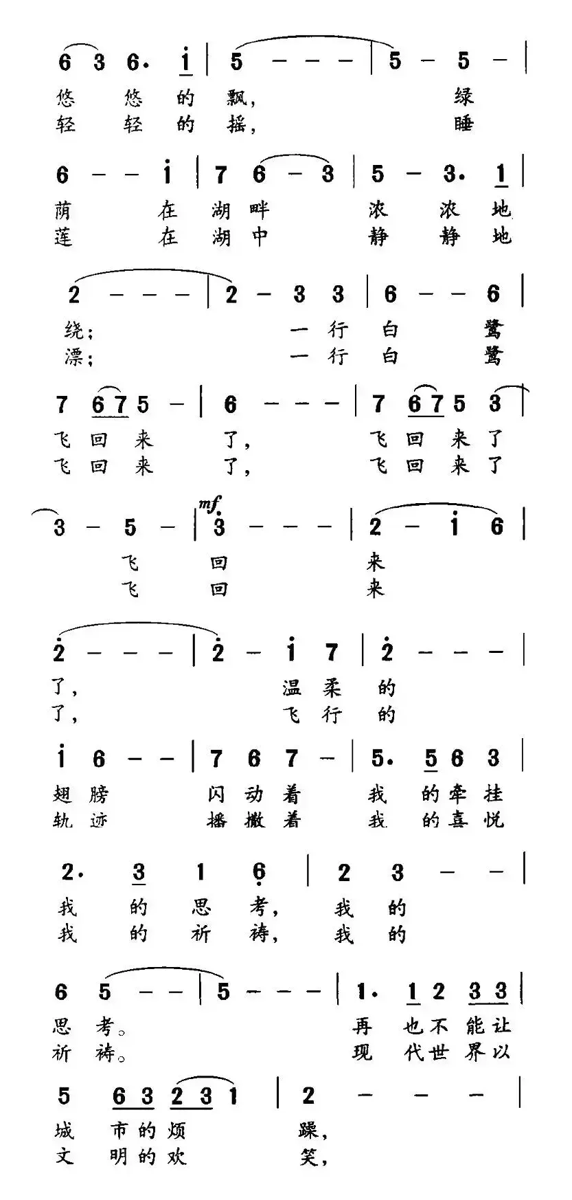 白鹭飞回来了