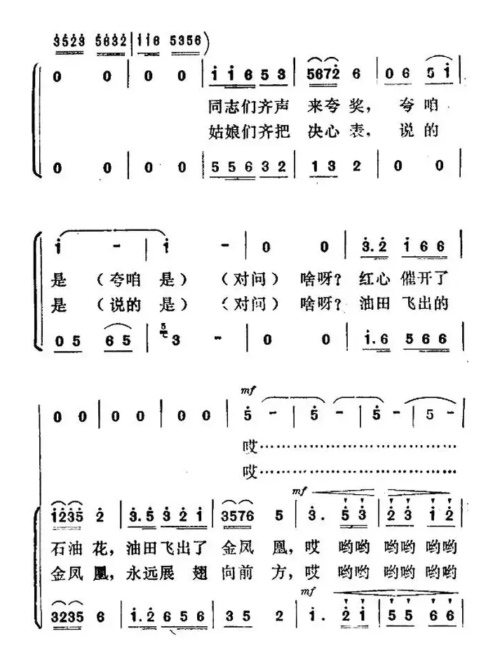 油田飞出了金凤凰