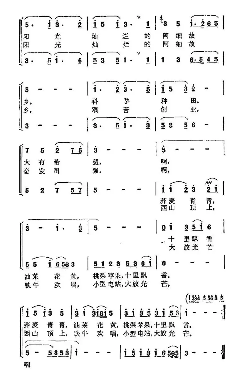 在阳光灿烂的阿细故乡