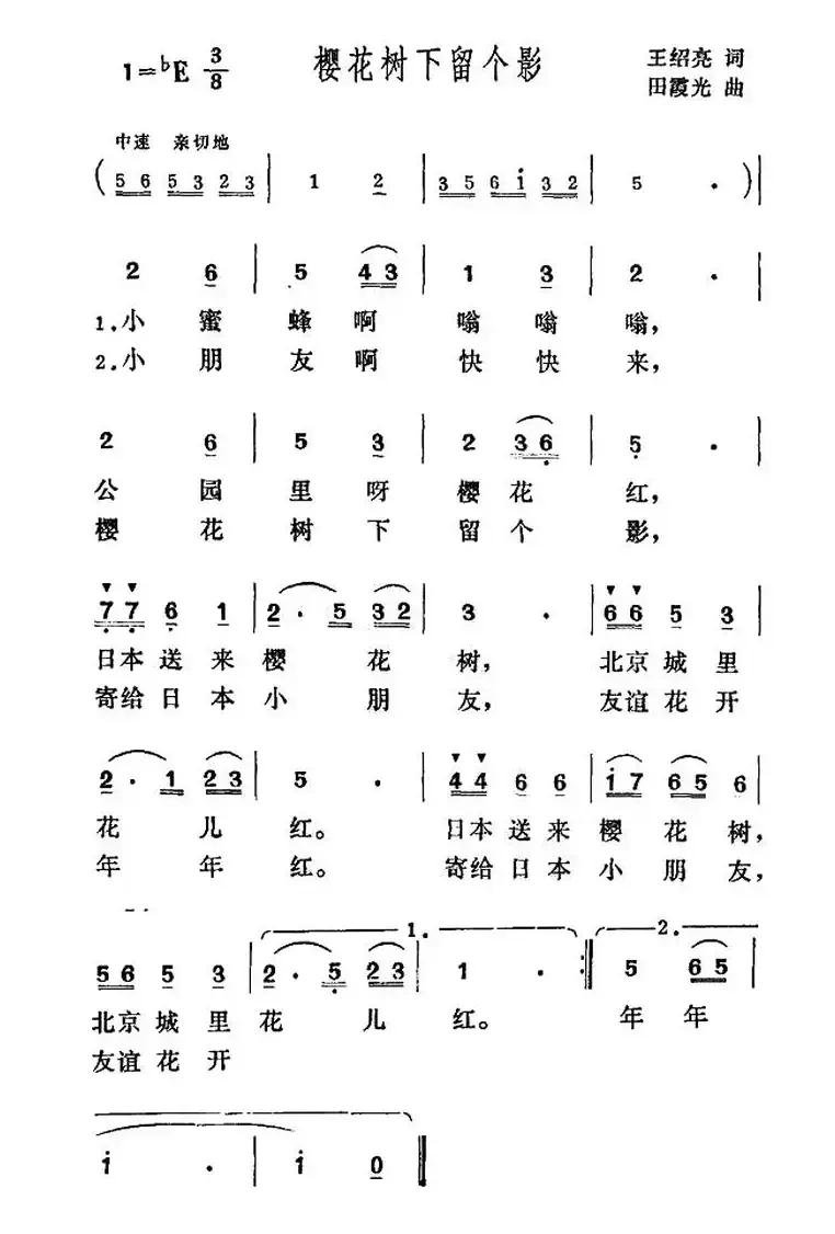 樱花树下留个影