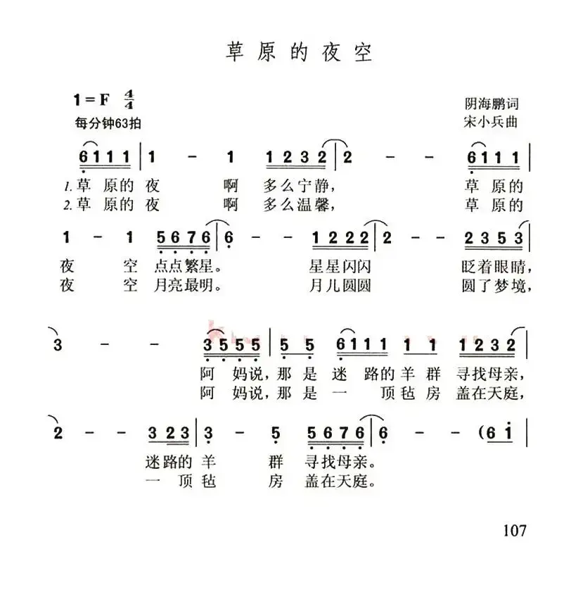 草原的夜空