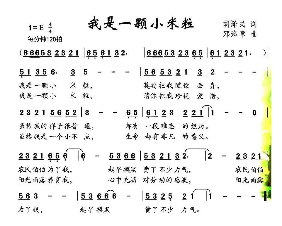 我是一颗小米粒