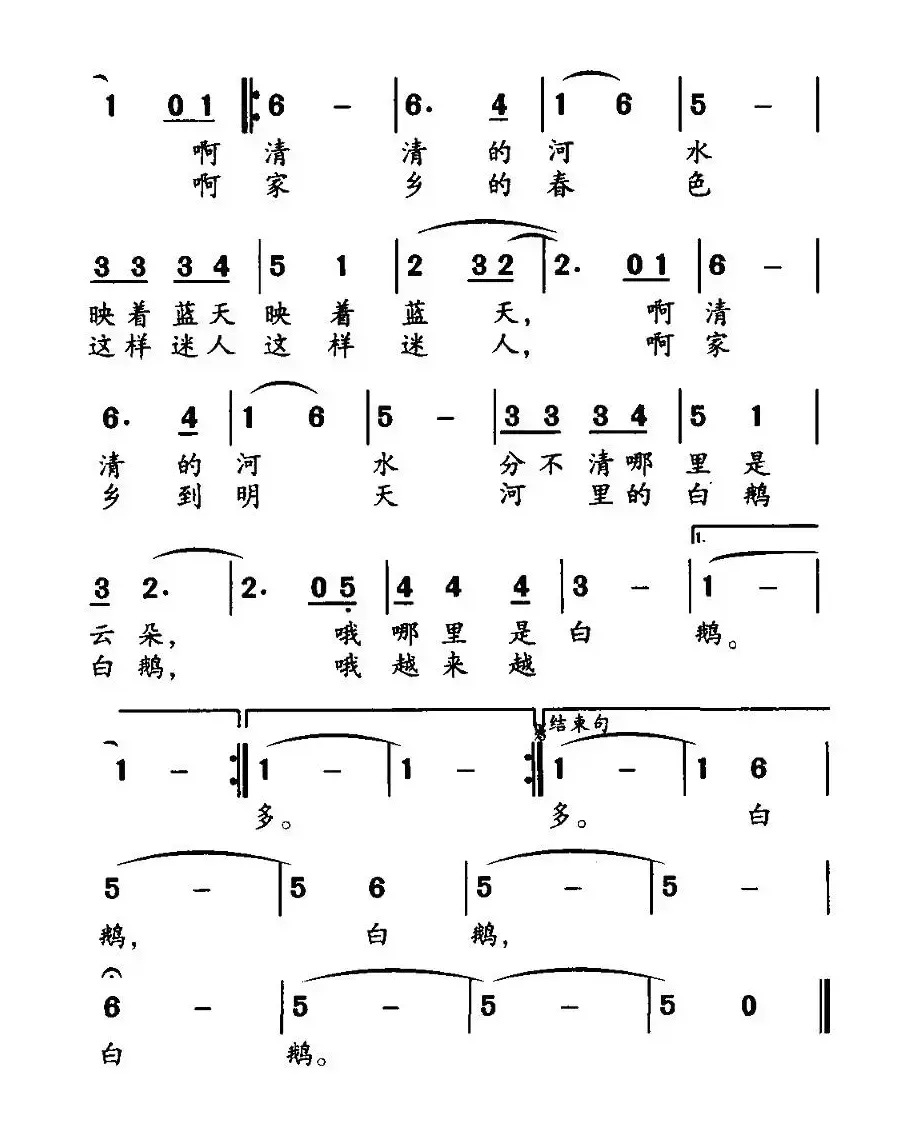 我的白鹅