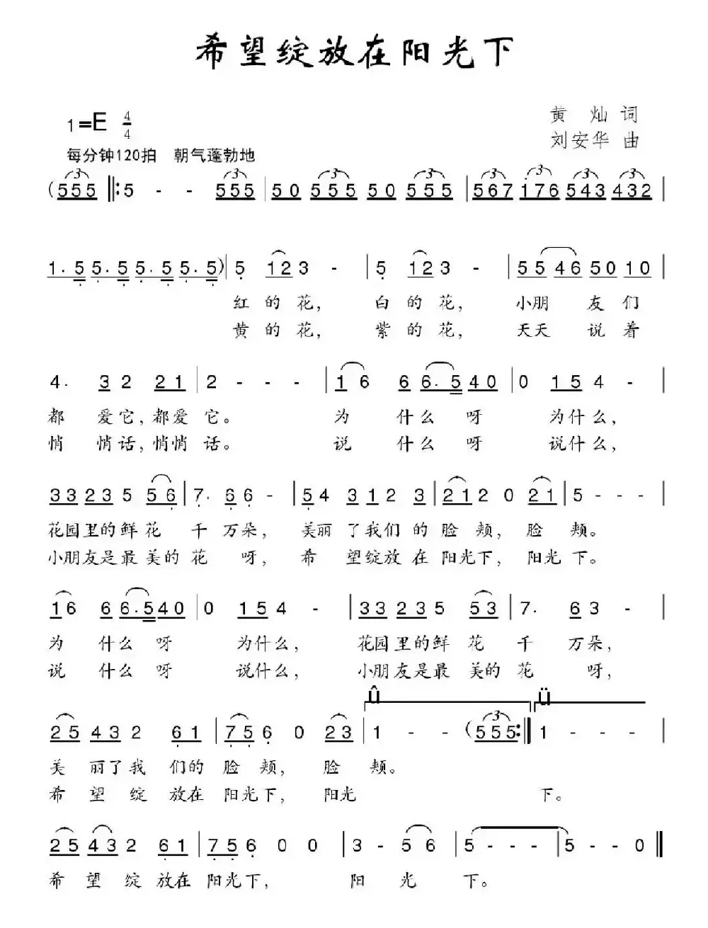 希望绽放在阳光下