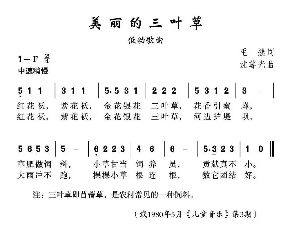 美丽的三叶草