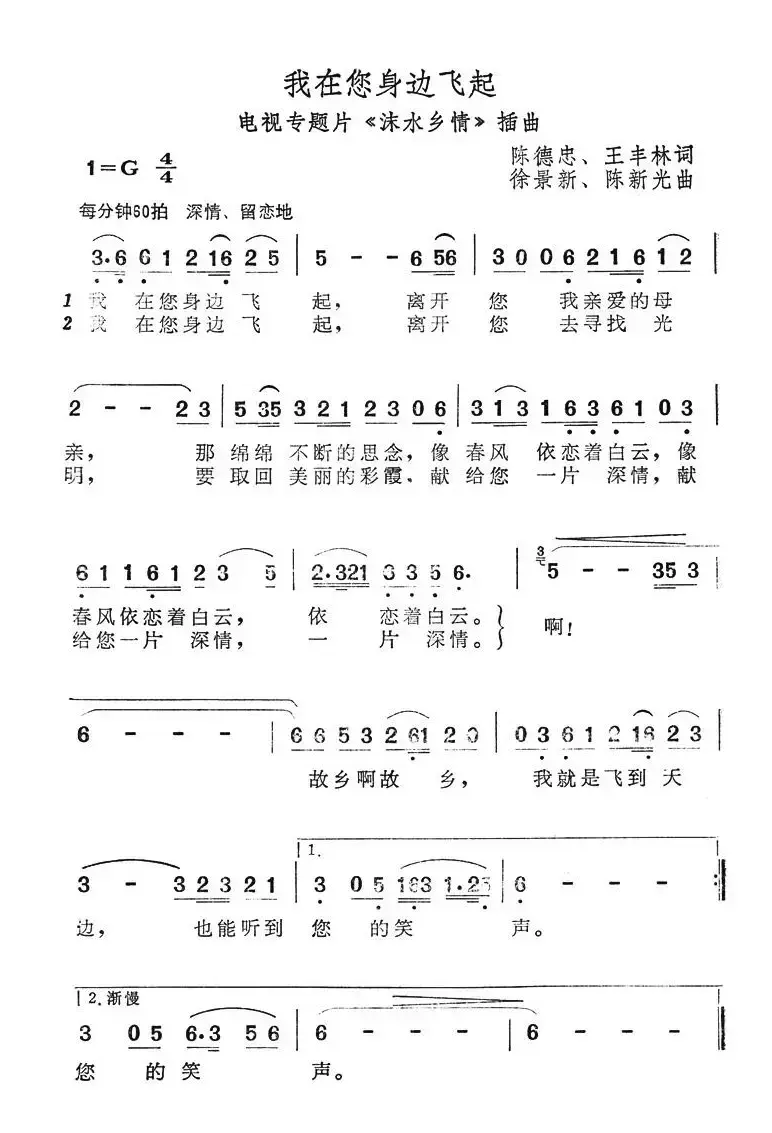 我在您身边飞起（电视专题片《沫水乡情》插曲）