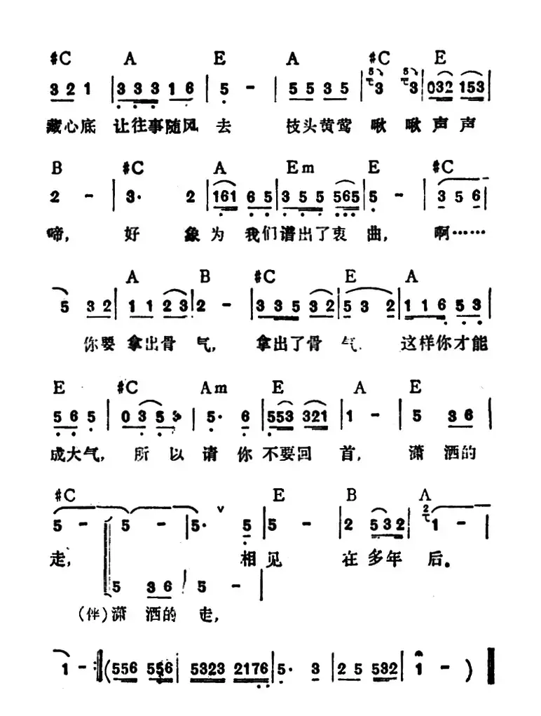 不要再回首