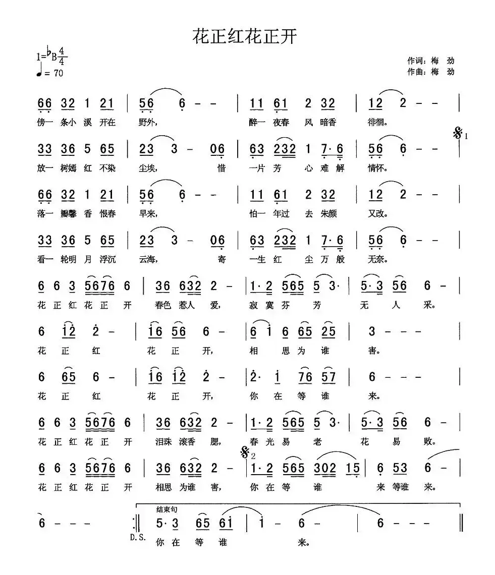 花正红花正开