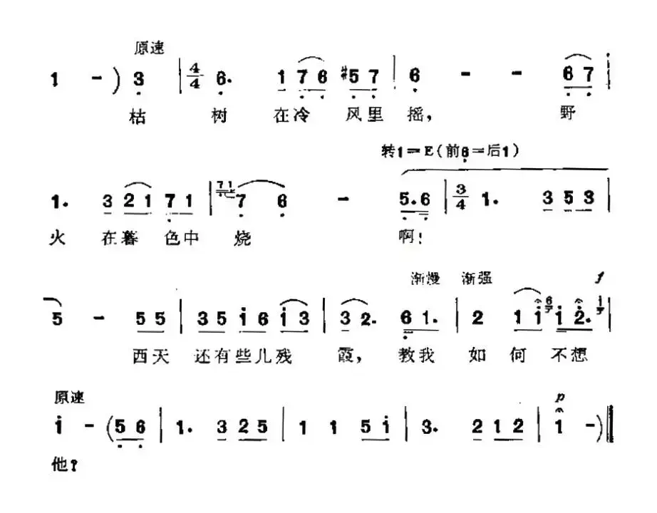 教我如何不想他