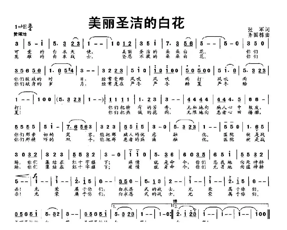 美丽圣洁的白花