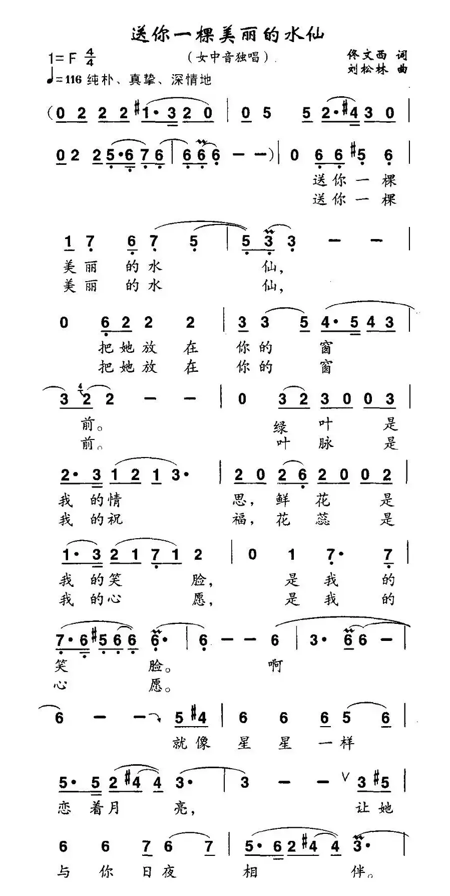 送你一棵美丽的水仙