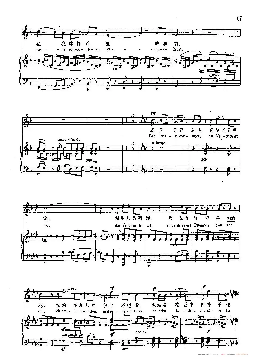 声乐教学曲库4-[德-奥]9第一朵紫罗兰（正谱） 