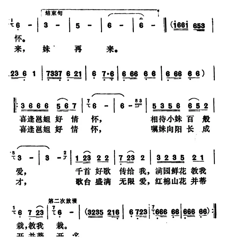 红棉山花并蒂开