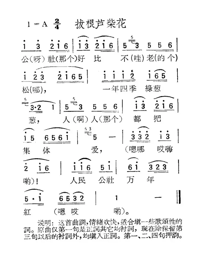 苏北小调：拔根芦柴花