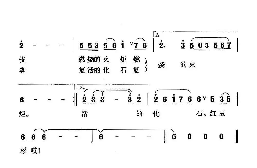 铜钹山上红豆杉