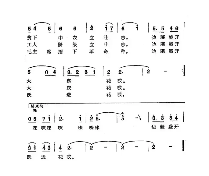 边疆盛开跃进花