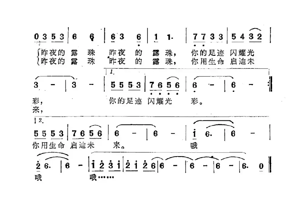 昨夜的露珠