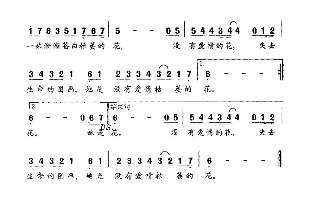 雏菊花（容榕词 容榕曲）