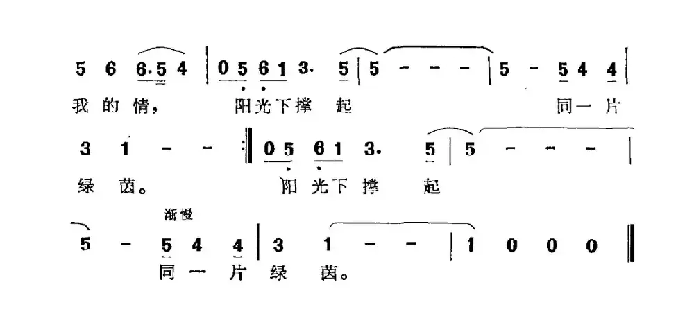 阳光下撑起同一片绿茵