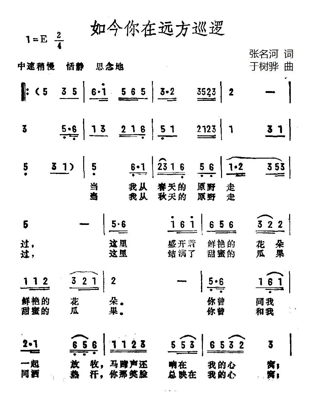 如今你在远方巡逻