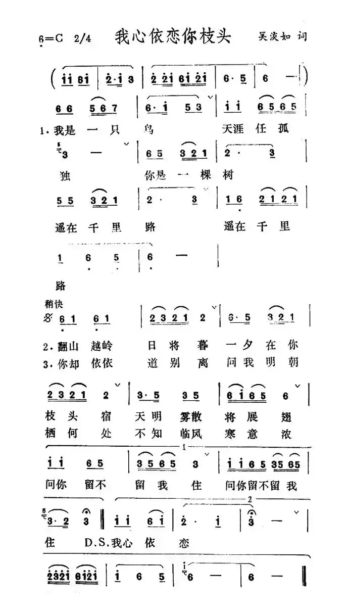 我心依恋你枝头