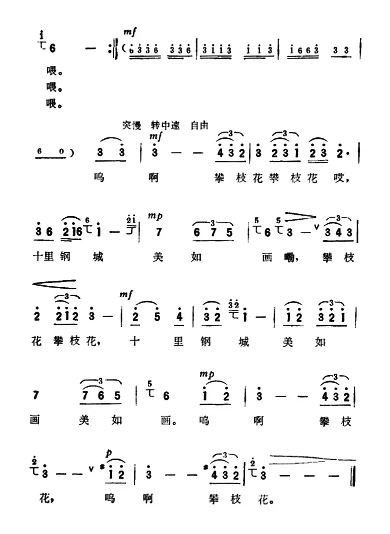 攀枝花（纪录片《攀枝花》主题歌）